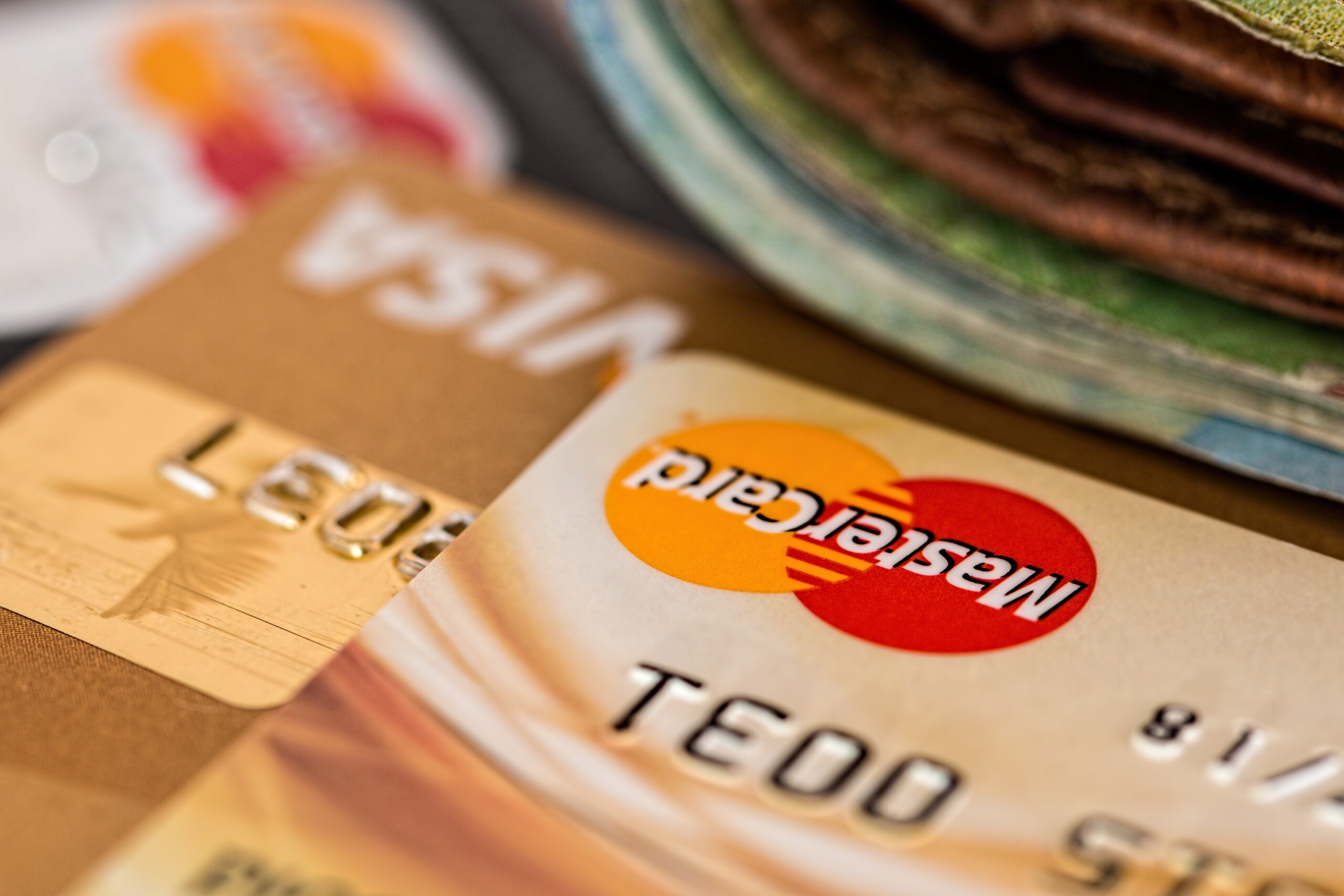 Petco Credit Card: A Simple Guide For First Time Applicants - 4vtok3f